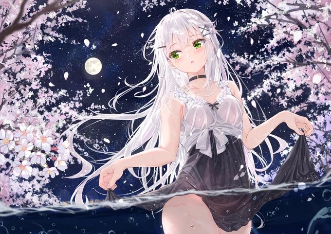 月夜の桜に誘われて 