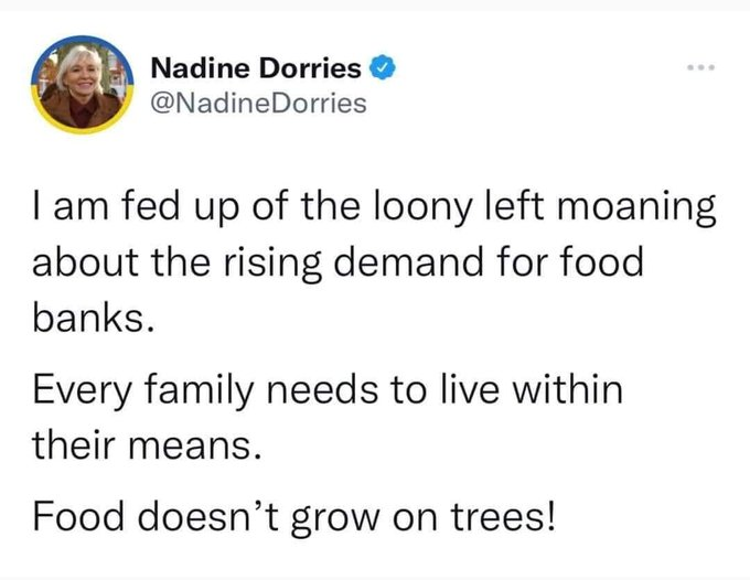 archer_rs's tweet photo. Ladies and Gentleman, I give you, once again, Her Majesty's Secretary of State for Digital, Culture, Media and Sport, Nadine Dorries. https://t.co/j1CXrbUv96