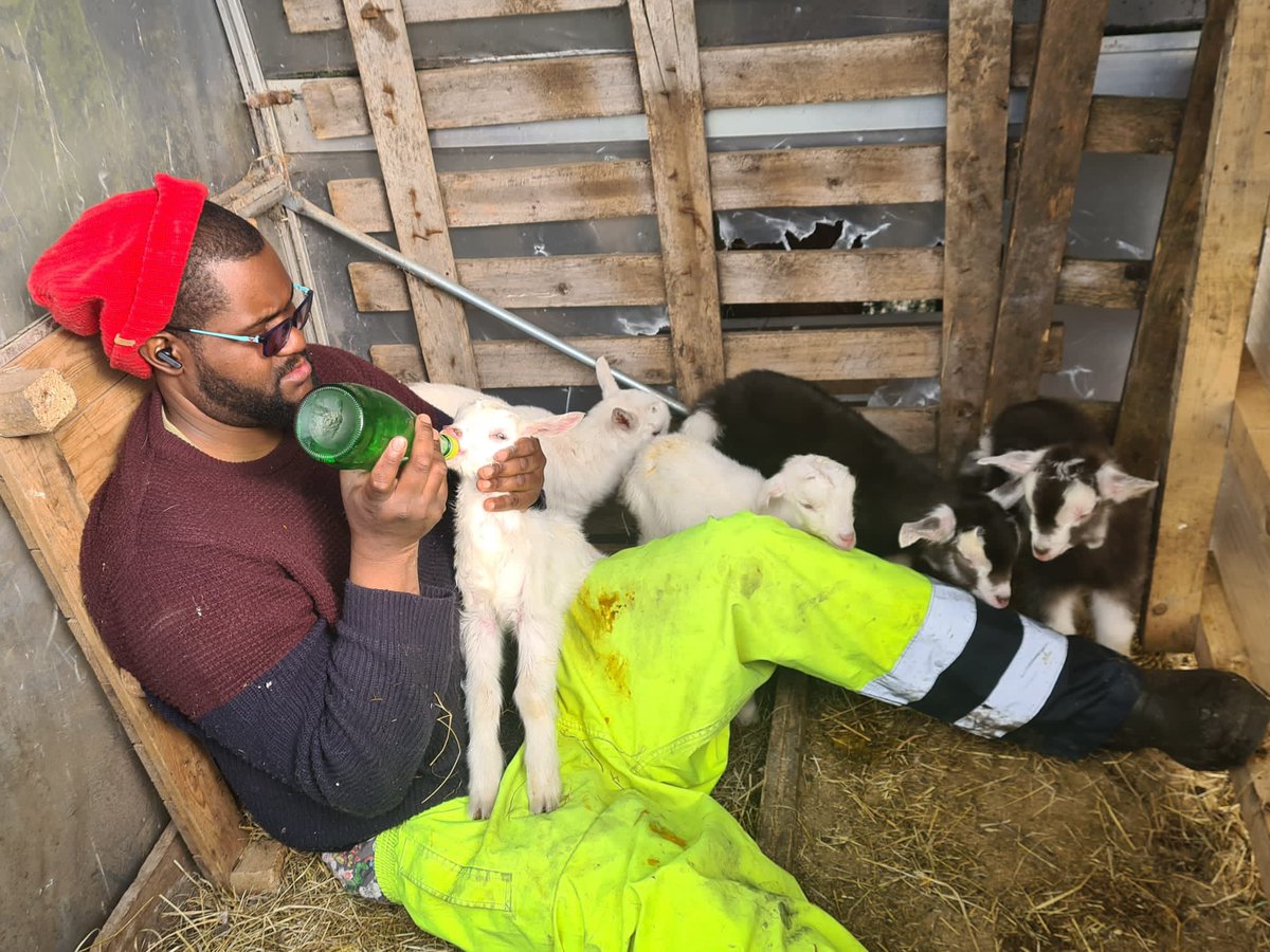 ndumzco's tweet photo. Looking after some pet kids!!! https://t.co/oR1TqDVl0v