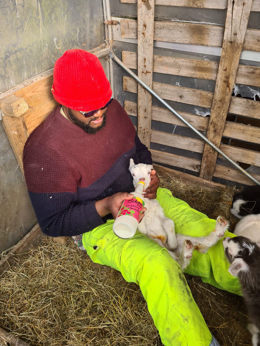 ndumzco's tweet photo. Looking after some pet kids!!! https://t.co/oR1TqDVl0v