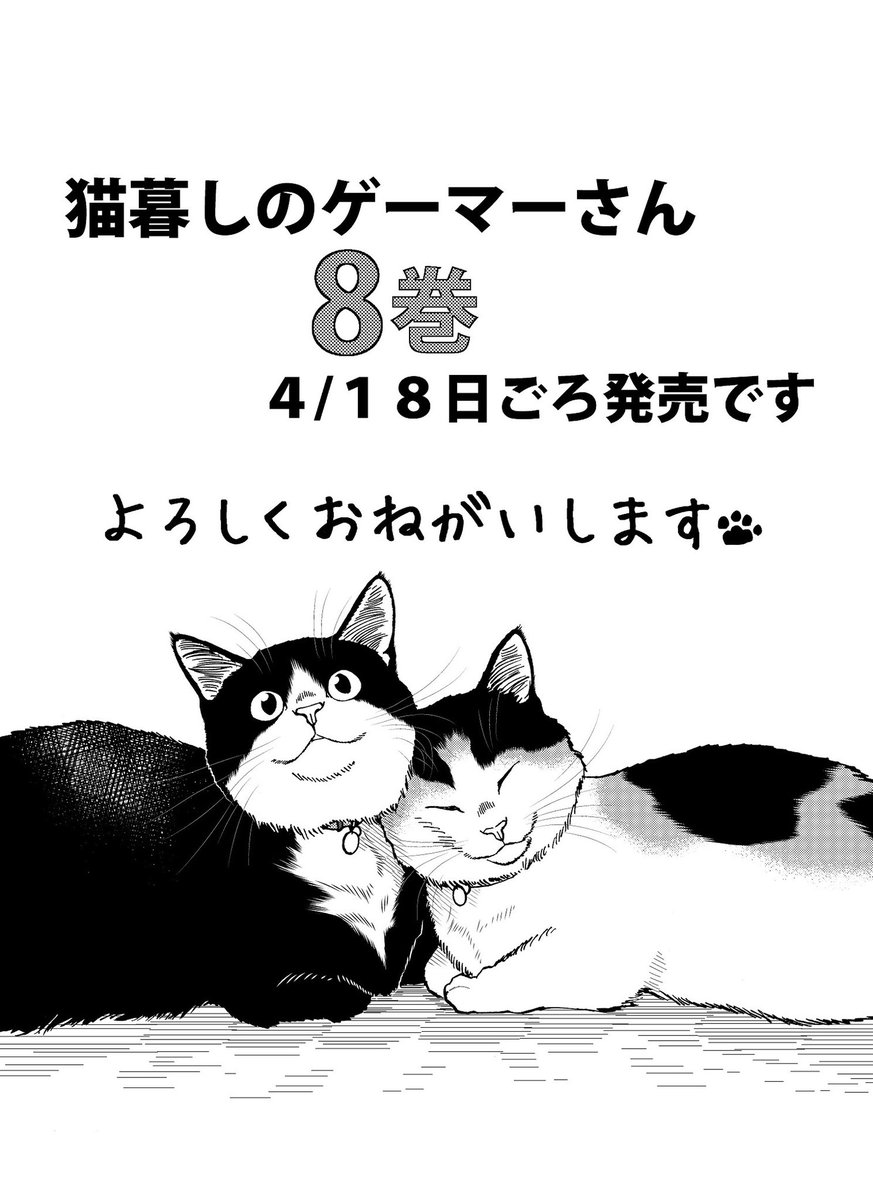 最新最全の 猫暮らしのゲーマーさん 1 confmax.com.br
