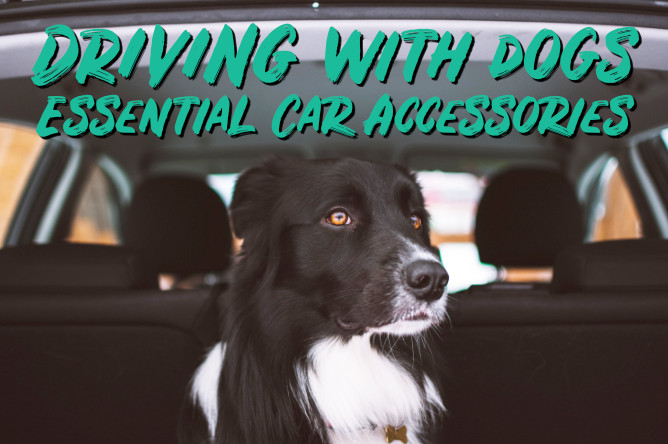 PassMeFast | Driving Courses & Fast-Track Tests tweet media