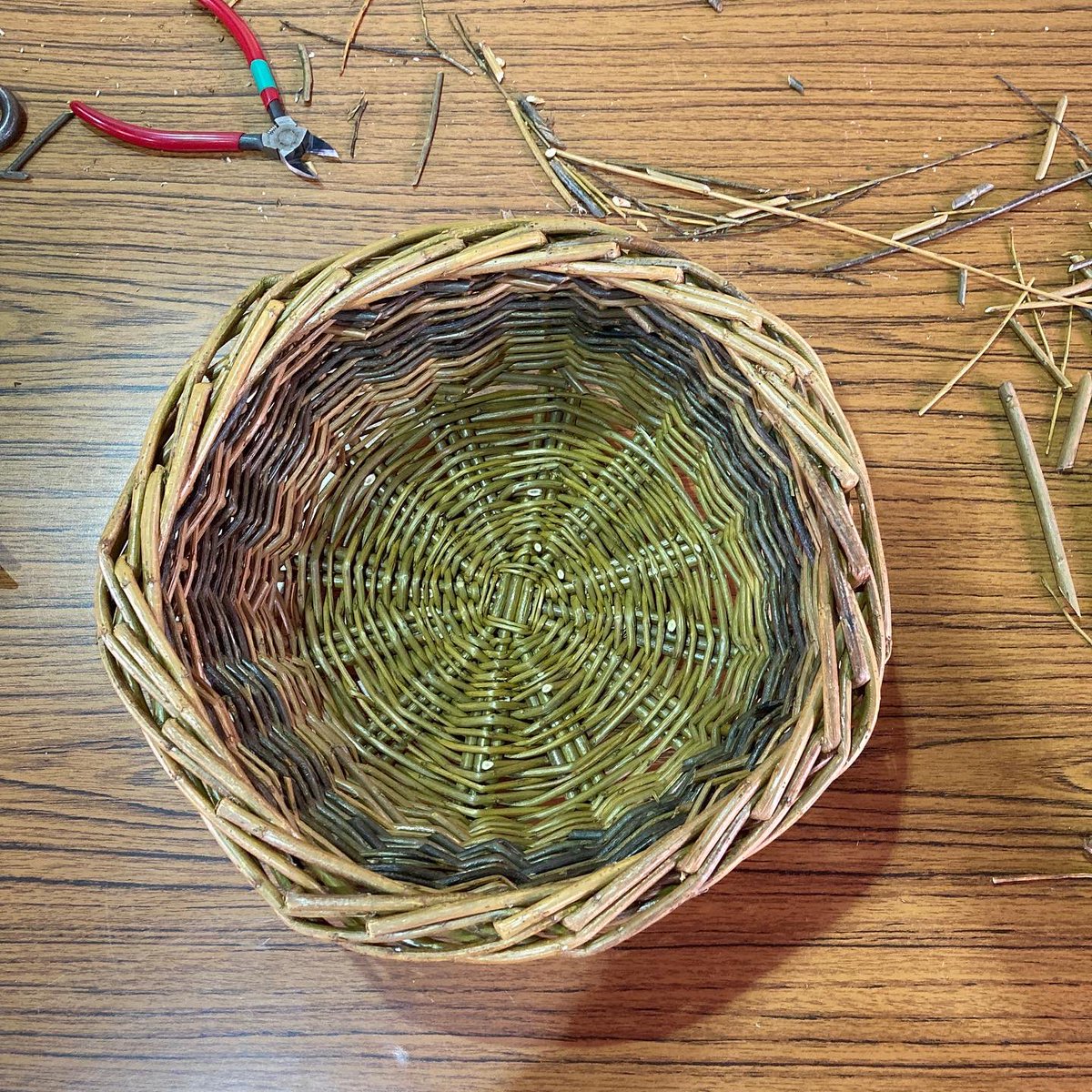 Craft_Workshops's tweet photo. Ta da! Eight smashing baskets were made at yesterday’s Basket Making Workshop. Look how smart they are… 
#tlpcraftworkshops #basketmaking #willowweaving #craftcourses #basketeers https://t.co/mjSrfddzQ0