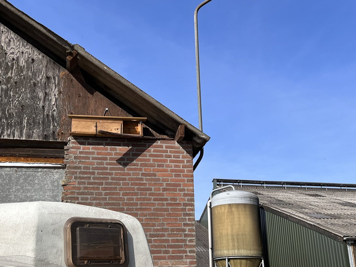 jeroenLux's tweet image. Deze ochtend een erfscan bij mogen wonen. Een regeling waarmee particulieren hun erf een boost in biodiversiteit kunnen geven. @IVNUden