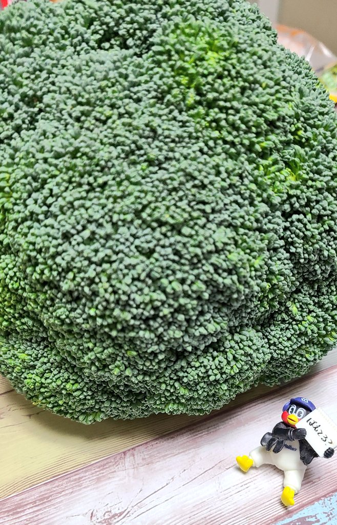 Xxume Naoxx 花束みたいな でっかいブロッコリー もらった にしても デカすぎやわ この 木なんの木 気になる木 T Co 1u1l65agcj Twitter