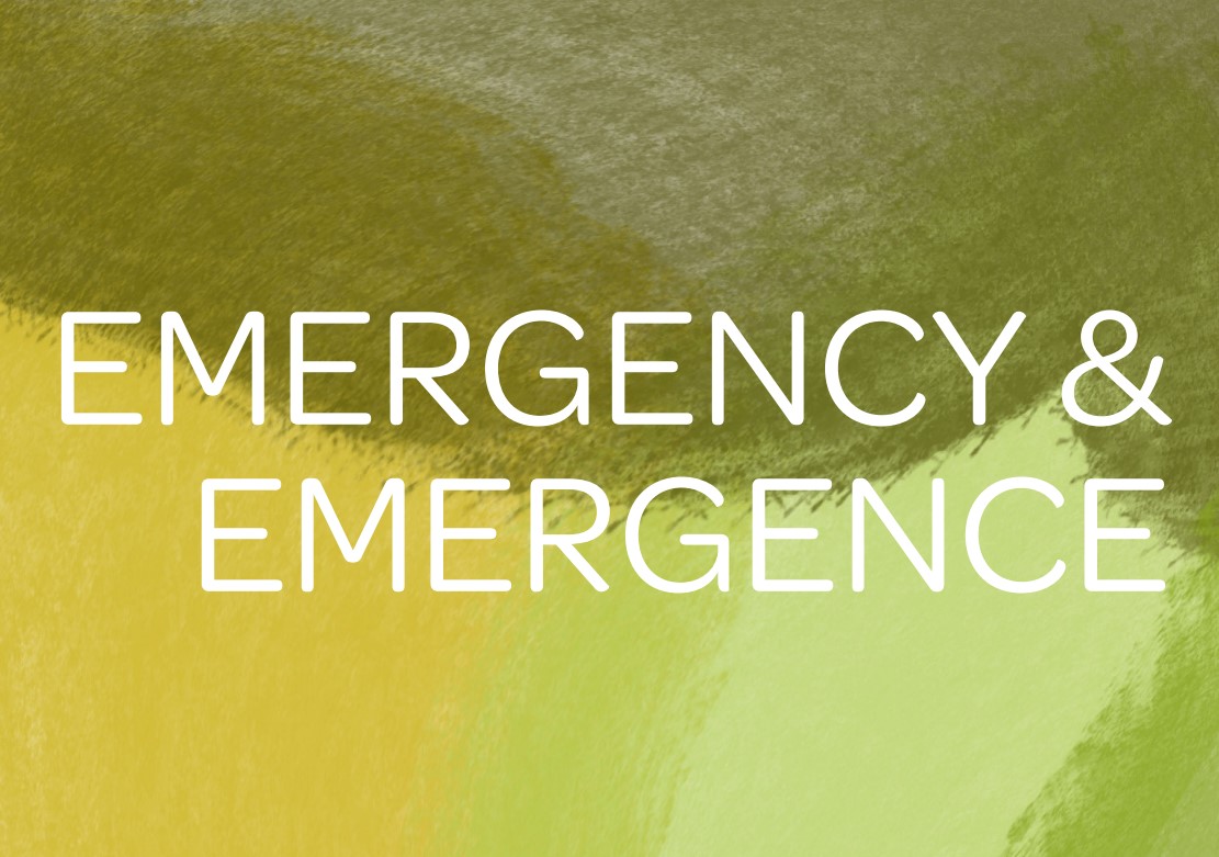 NCLiveProgramme's tweet image. 'Emergency & Emergence' is our new year-long research strand investigating transdisciplinary, sensorial and speculative practices for reimagining the planet.
Keep an eye on our social media and website for updates!