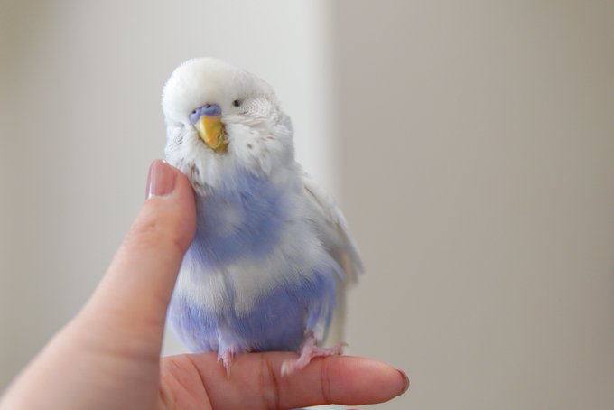 俺の指で乱れろ 閉店後二人きりのサロンで の注目 画像ツイートまとめ アニメレーダー 俺の指で乱れろ 閉店後二人きりのサロンで の注目 画像ツイートまとめ アニメレーダー