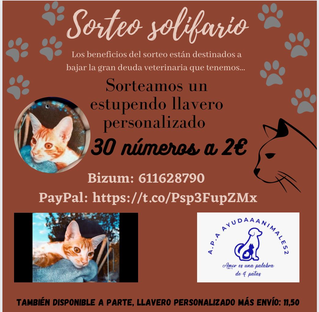 ayudaaanimales2's tweet photo. Como sabéis las deudas me ahogan💔
Abro un sorteo aquí de un llavero personalizado
Y abro otro en Instagram y así ir bajando las deudas poco a poco
Una vez vendido todo haré el sorteo en sortea2
Pide tu número al 695370455 solo wasap o por MD 
Pago por PayPal y bizum en la bio RT https://t.co/1kVbQfC05d