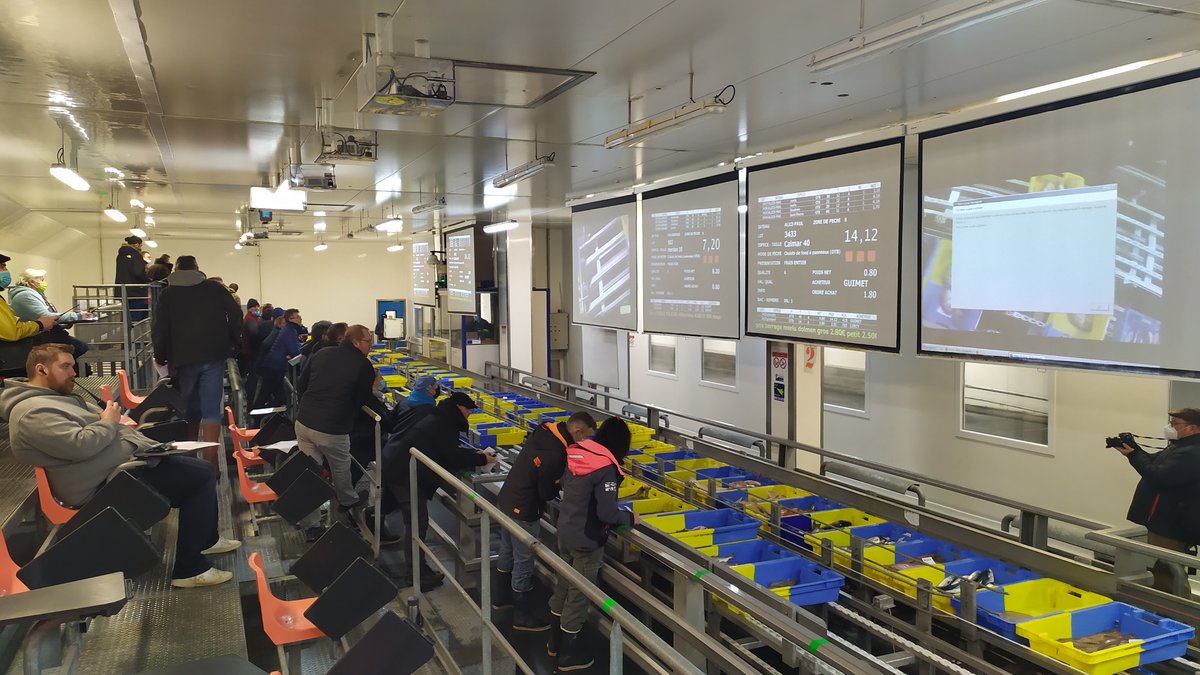MaisonDeLaMer's tweet photo. 📢VISITE DE LA CRIEE de #Lorient jeudi 14 avril à 4h30 ! 
🐟Assistez aux enchères informatisées avec la Maison de la Mer.
⏰Réservation Circuit portuaire: https://t.co/1mN0Xu0T7N #Portdepeche #poissonfrais #visite https://t.co/U4rwQeHA24