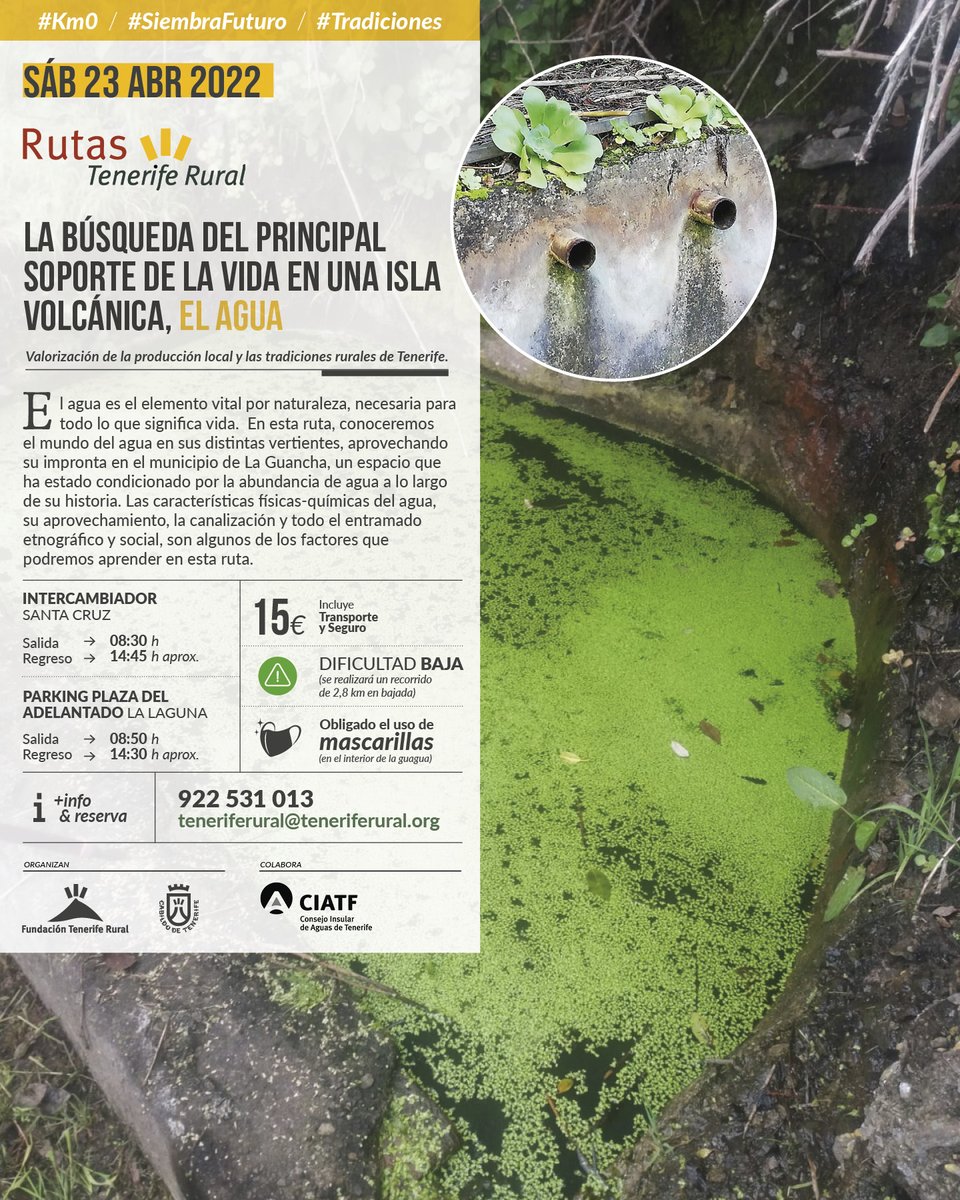 ¡Nueva ruta desde la Fundación Tenerife Rural! 🥾🌱

🧭 “La búsqueda del principal soporte de la vida en una isla volcánica, el agua”.
📅 Sábado, 23 de abril de 2022. 

📲 Información, precio y reservas en teneriferural@teneriferural.org, ¡plazas limitadas!

#TenerifeRural