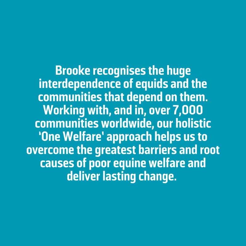 TheBrooke's tweet photo. Over the next few years, we want to reach and improve the lives of more animals and their communities than ever before – and we’re focused on three goals that we believe can get us there...