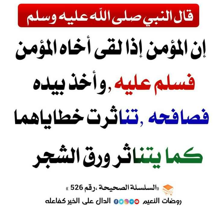 FthyShnaf's tweet image. 