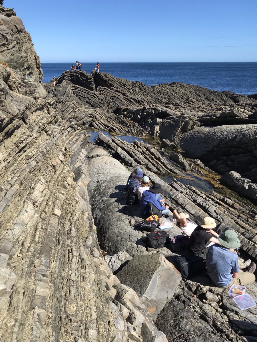 Gold-standard #StructuralGeology at #CapeLiptrap with south plunging near-cylindrical folds and related thrusts in Devonian turbidites 🤩 Check out those fold hinges! #GEOL20002 #geology #FridayFold