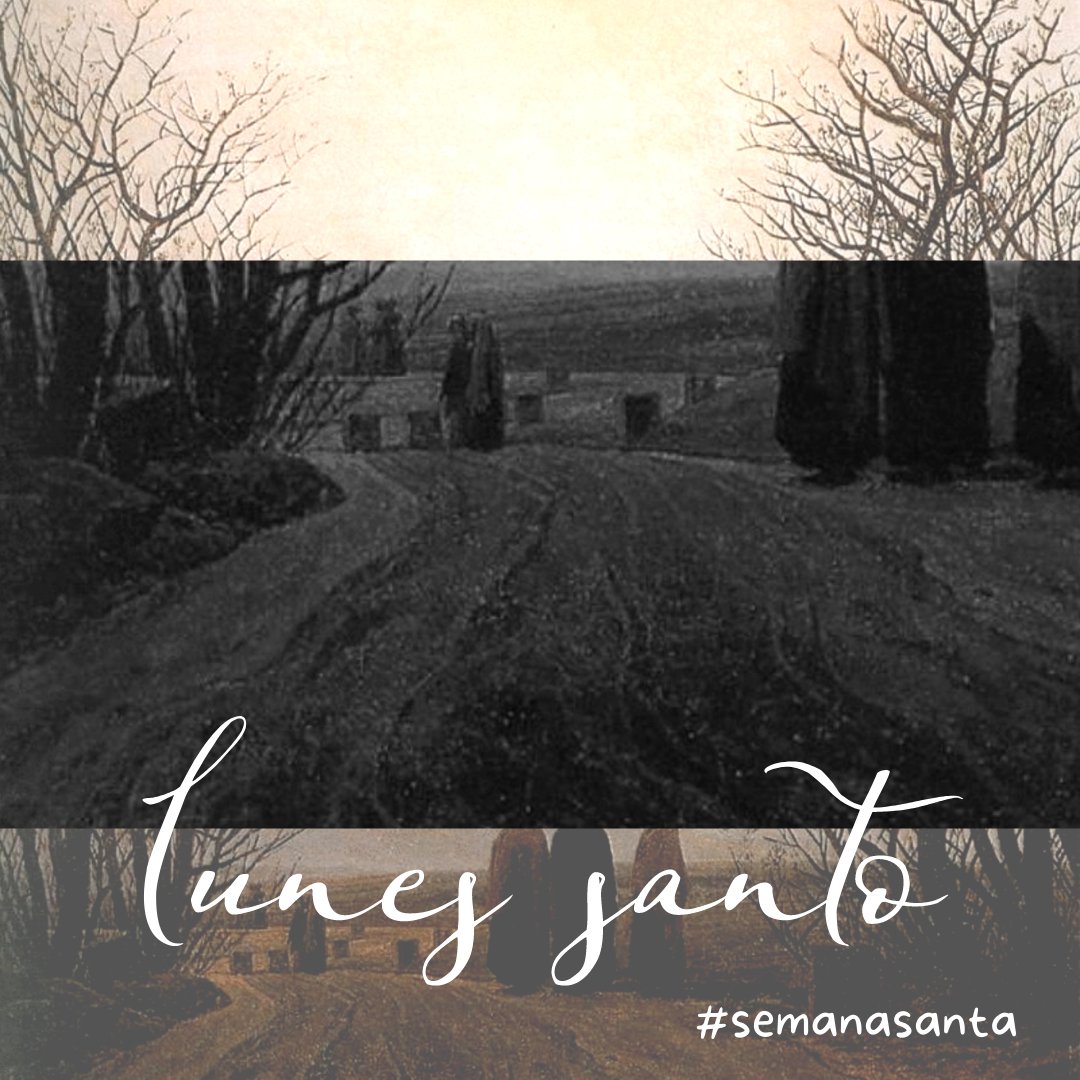 ElminaPaz's tweet photo. Comenzar un camino de Vida y silencio,  aquel de que para hablar del silencio hay que usar palabras. Entonces, que sean las palabras que nos lleven a lugares donde ya no sean necesarias, allí donde el Sol se deja atrapar y la contemplación amar #SemanaSanta2022 https://t.co/5uQo05gRIC