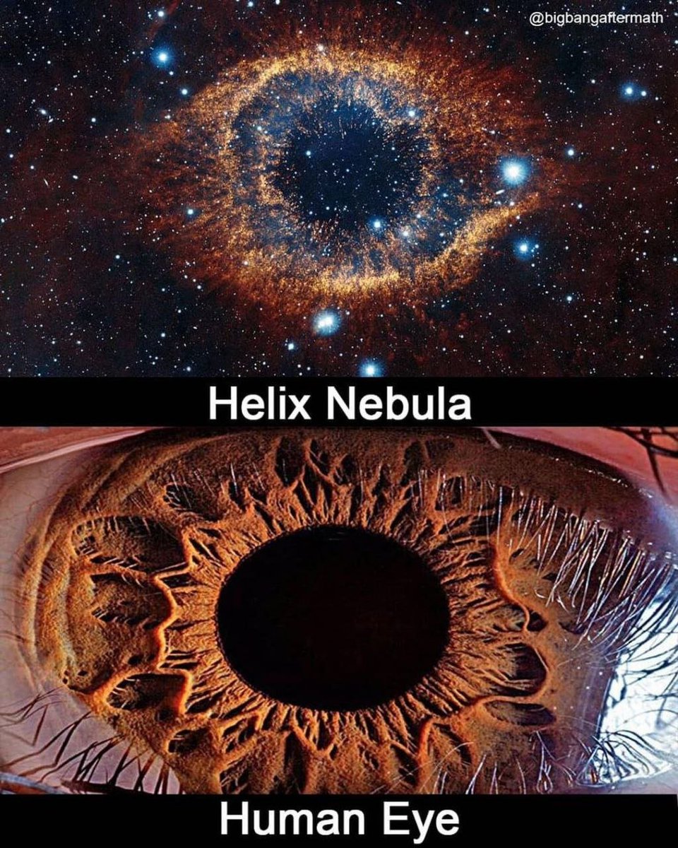 Astrophotography tweet media