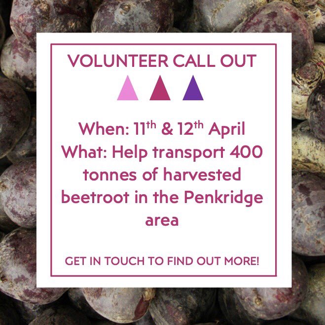 GleanFor's tweet image. 🥦🍅VOLUNTEER CALL OUT🍅🥦                     If anybody is available to help transport beetroot in the Penkridge area, then please get in touch. There is over 400 tonnes that needs to be moved both today and tomorrow. Get in contact if you can help!