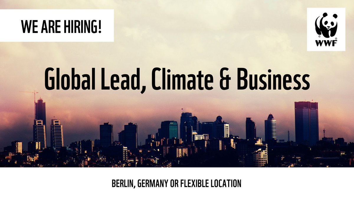 WWFclimatebiz's tweet photo. Join the WWF team! We're looking for a new Global Lead for Climate &amp; Business to drive forward our work on corporate climate action.

Learn more and apply ➡️ https://t.co/GfwSw3v2Bm https://t.co/XMZ8QobryR