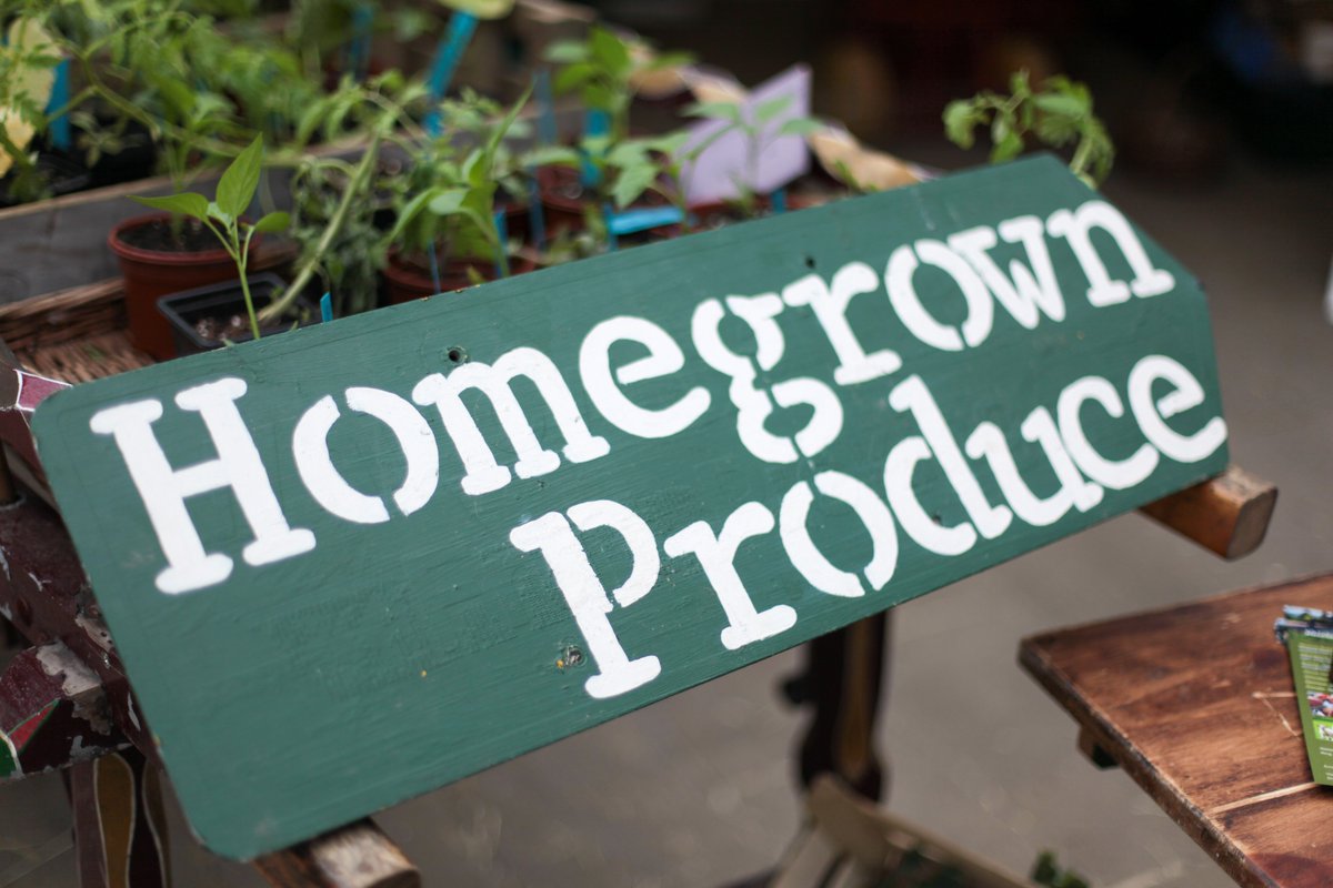 Events Collective tweet media