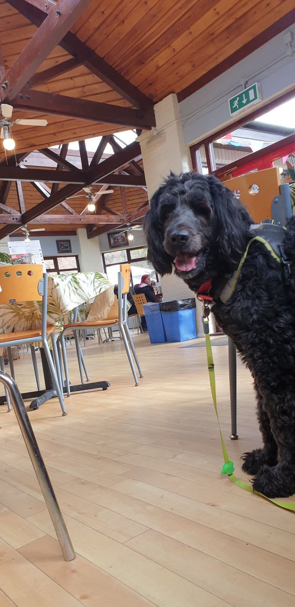 Corris Craft Centre tweet media