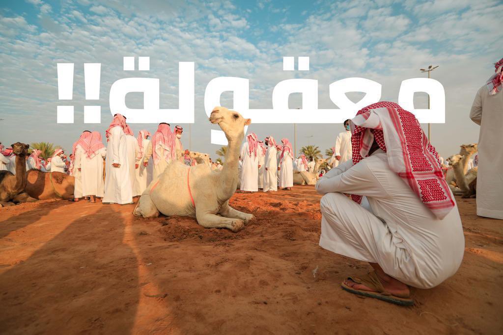 العلم خير ،،، معقولة.. ان شاء الله 
#نادي_الإبل 
<a href="/CamelClub/">نادي الإبل</a>