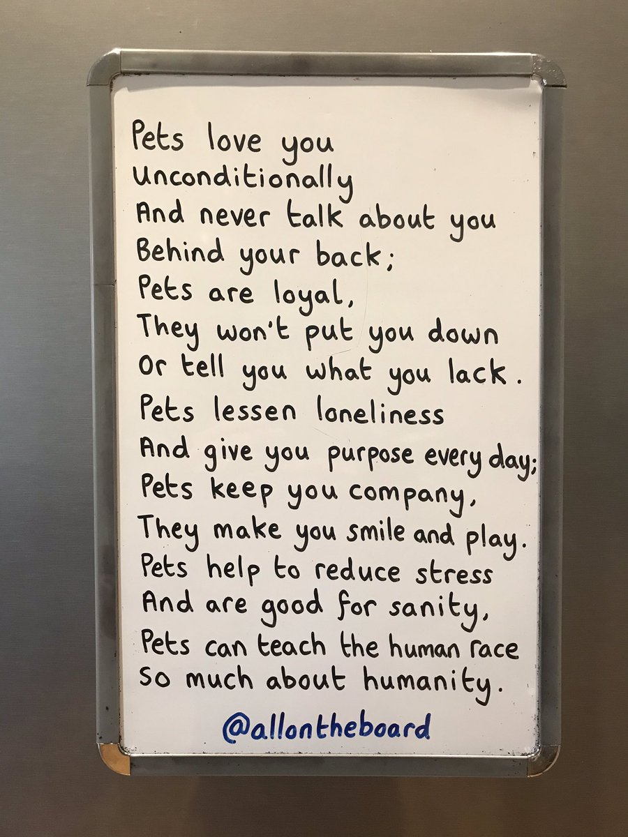 allontheboard's tweet photo. Pets can teach the human race so much about humanity. 
@allontheboard 

#NationalPetDay #Pets https://t.co/POir3pStEa