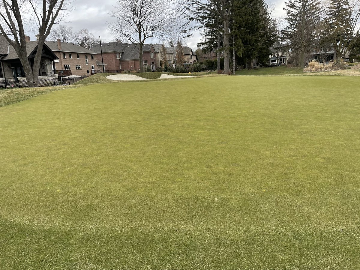 timster2x's tweet photo. I guess everyone is bored with both this game and that sleeper finish! Note new screen posts behind the green.  Screen to follow but at least greening up.  #theISpy https://t.co/s87dInX2XN