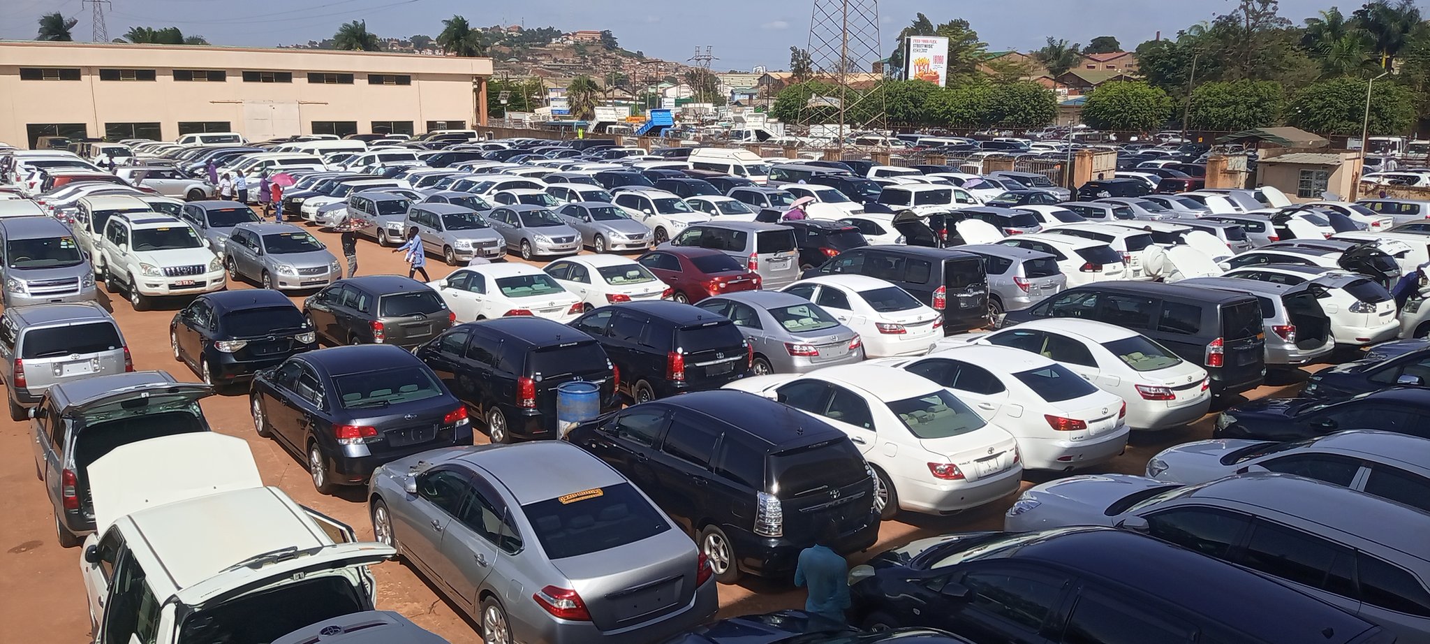 COIN MOTORS LTD on Twitter "doryn_shapes We are number one importer of Japan used cars in