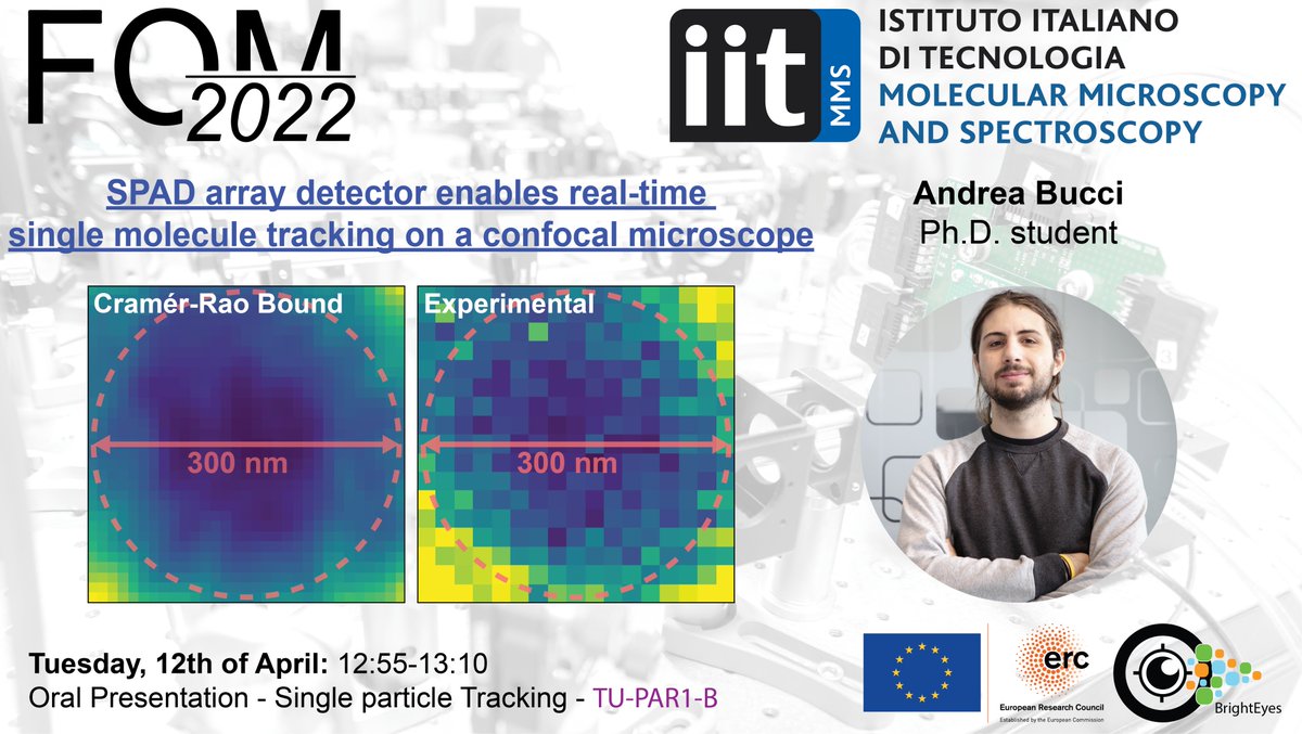 Andrea Bucci (@andrea_bucci13) on Twitter photo Come to <a href="/FOMconferences/">FocusOnMicroscopy</a> on Tuesday to discover how #singlemolecule #tracking can be performed on a confocal microscope just by using a #SPADarray
<a href="/IITalk/">IIT</a> <a href="/VicidominiLab/">Vicidomini Lab</a> <a href="/ERC_Research/">European Research Council (ERC)</a>
#fom2022 Come to <a href="/FOMconferences/">FocusOnMicroscopy</a> on Tuesday to discover how #singlemolecule #tracking can be performed on a confocal microscope just by using a #SPADarray
<a href="/IITalk/">IIT</a> <a href="/VicidominiLab/">Vicidomini Lab</a> <a href="/ERC_Research/">European Research Council (ERC)</a>
#fom2022