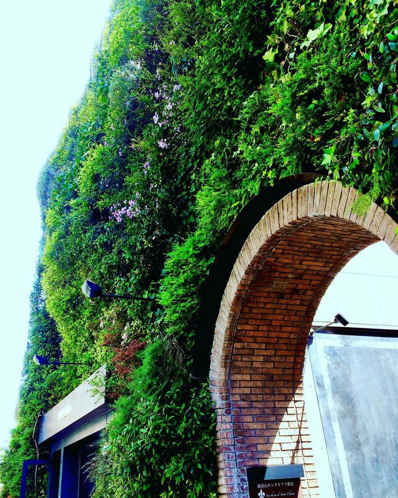 takuji_ichikawa's tweet photo. I like this vertical garden so much!
#verticalgarden #verticalgardens #patrickblanc #wallplates #plantwall #gardeningideas https://t.co/mqDhxh4ssW