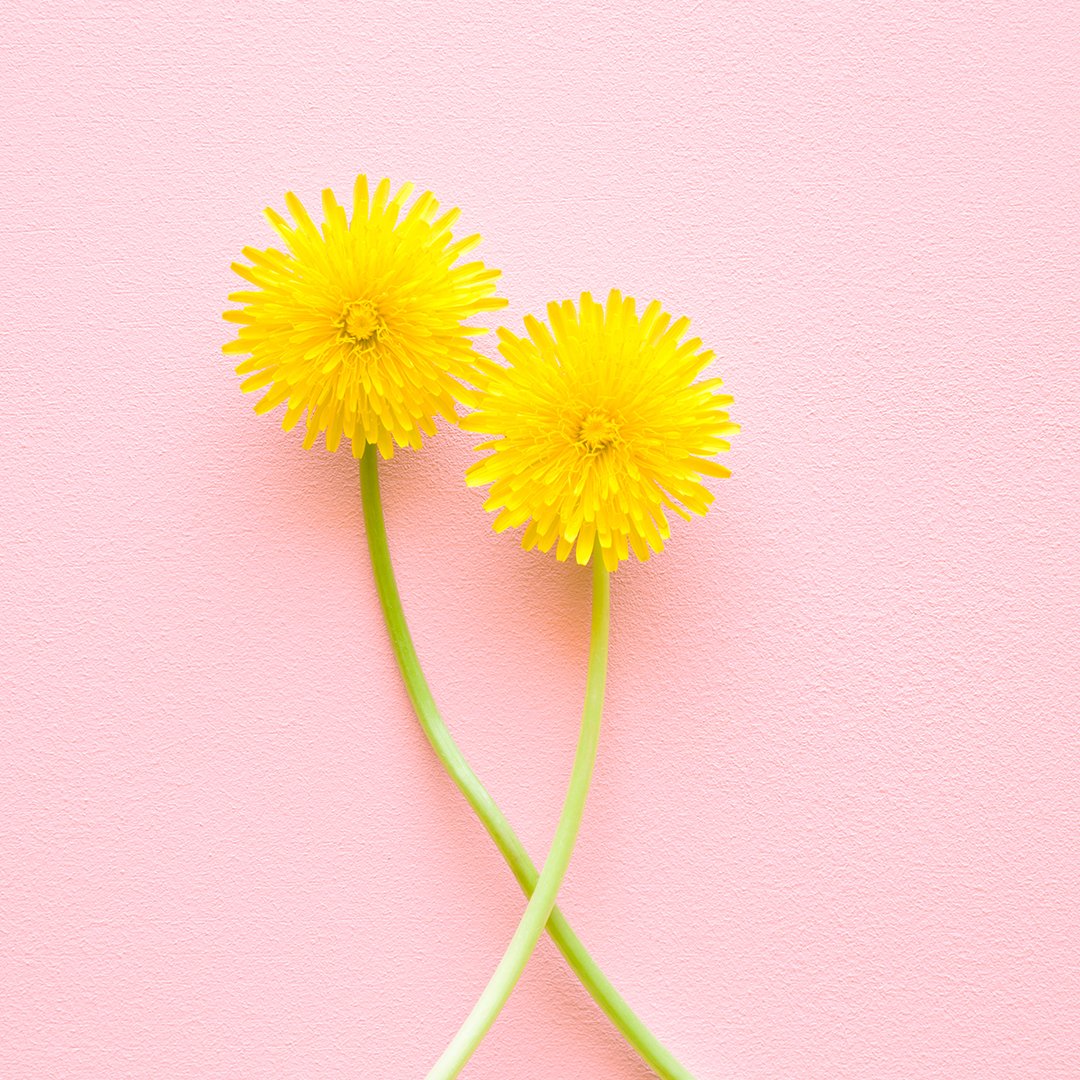 nutriburstvits's tweet photo. April has the highest pollen count of the year - which can really take its toll on those of us with sensitive allergies.

A daily dose of vitamins contain plenty of essential vitamins and minerals that can do wonders for your health, wellbeing and of course, allergy prevention. https://t.co/JGaIVndhkm