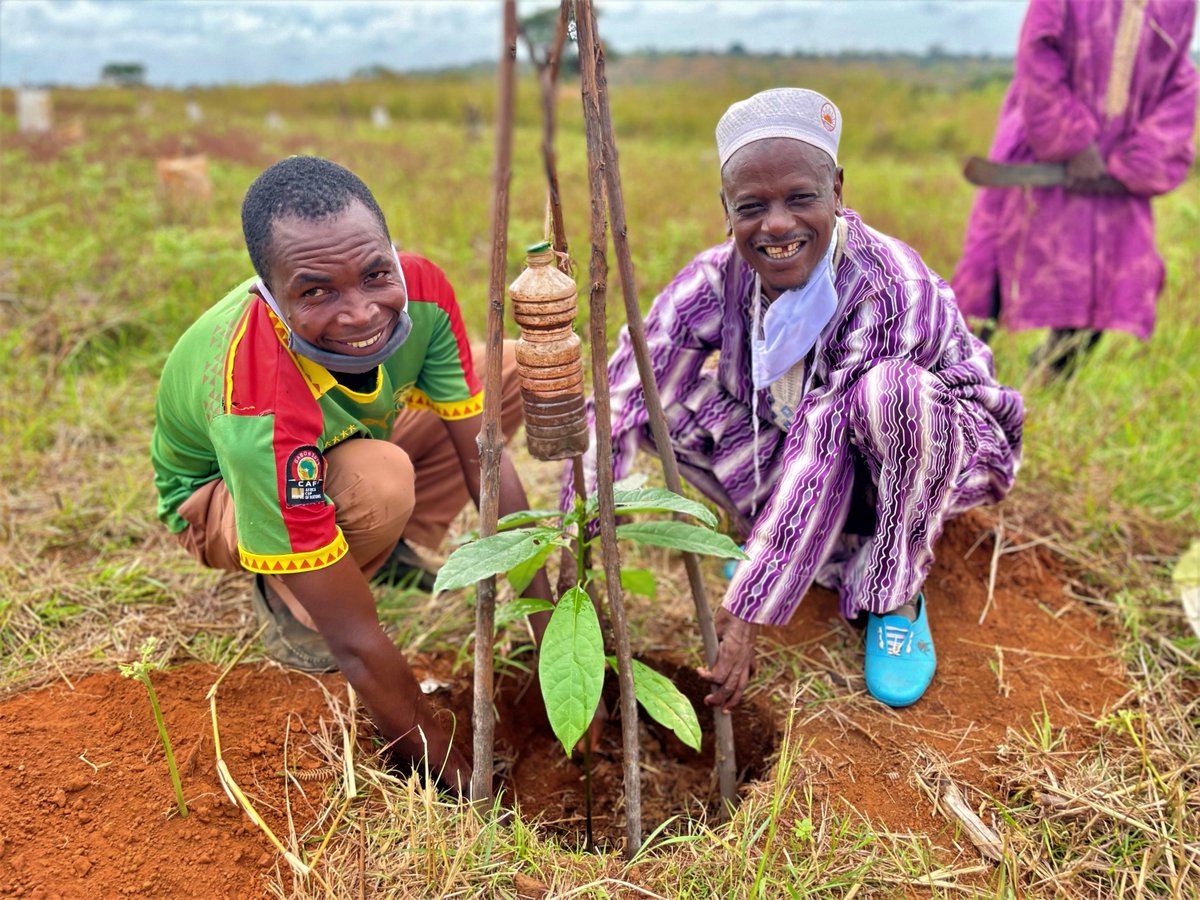 WFP_Cameroon's tweet photo. #Cameroun🇨🇲

@WFP_Cameroon soutient 550 agriculteurs👩🌾de 1⃣9⃣villages dans #Adamaoua en créant des associations de crédit et d’épargne, leur donnant ainsi accès à des fonds💵pour financer les activités agropastorales et génératrices de revenus

#FaimZero 
#ChangerLesVies https://t.co/rg6gUXckxa