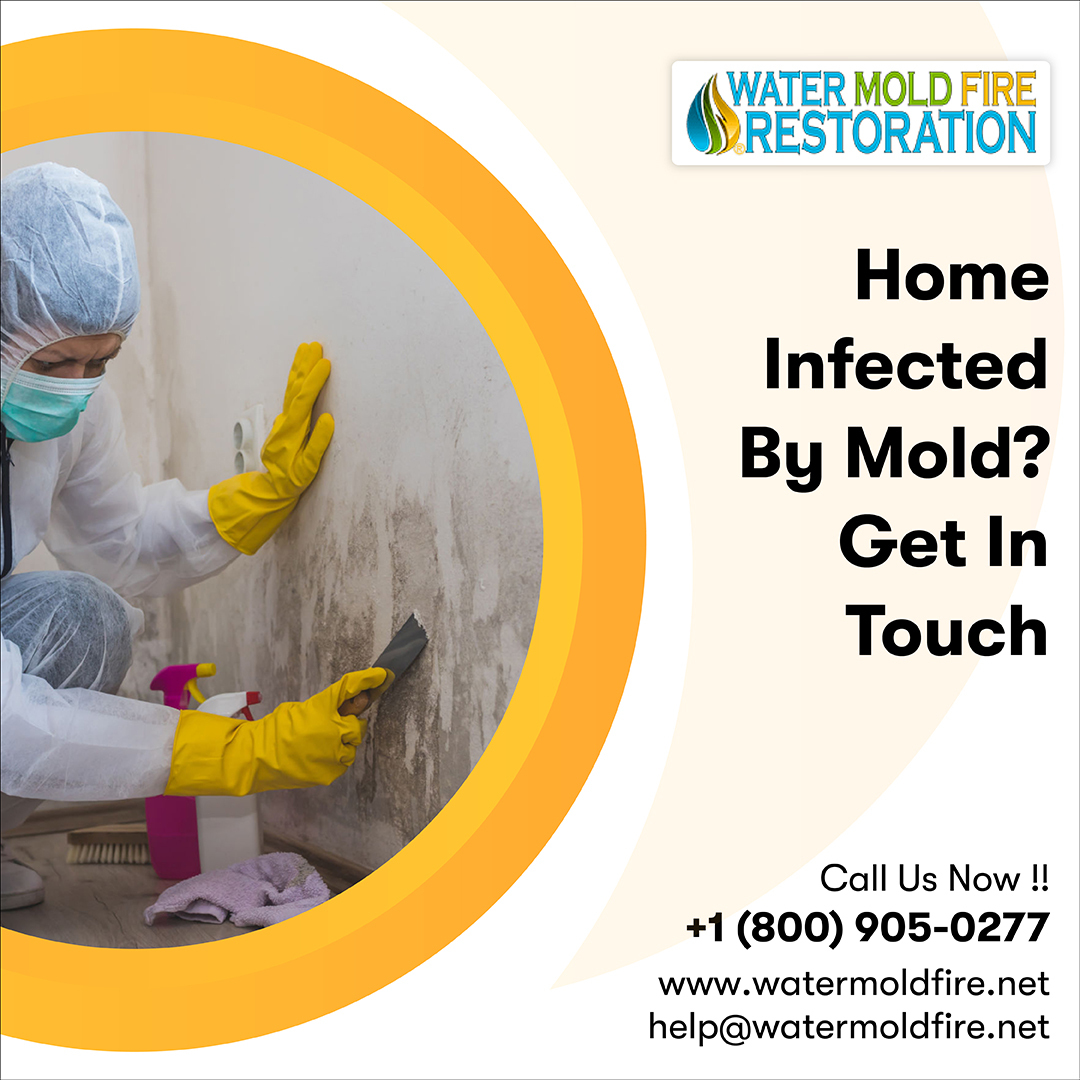 Mold damage can be a dangerous problem in your problem! You need to get it fixed right away! Hire our experts for mold restoration today!
Call:- 800-905-0277
Mail:- help@watermoldfire.net
Visit:- pos.li/2ia7vo
#unpleasantmold #nomoremold #moldrestoration  #moldservice