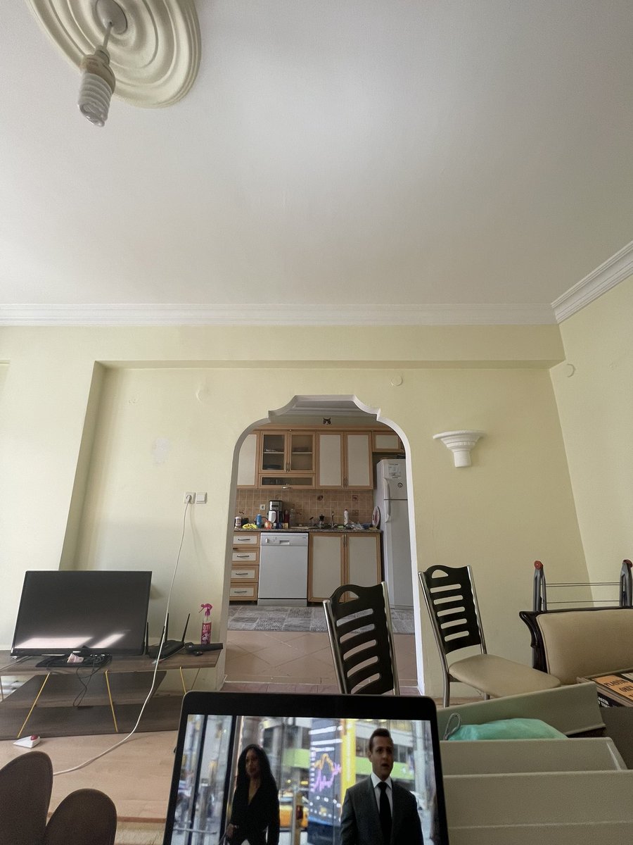 there is no cat in this pic