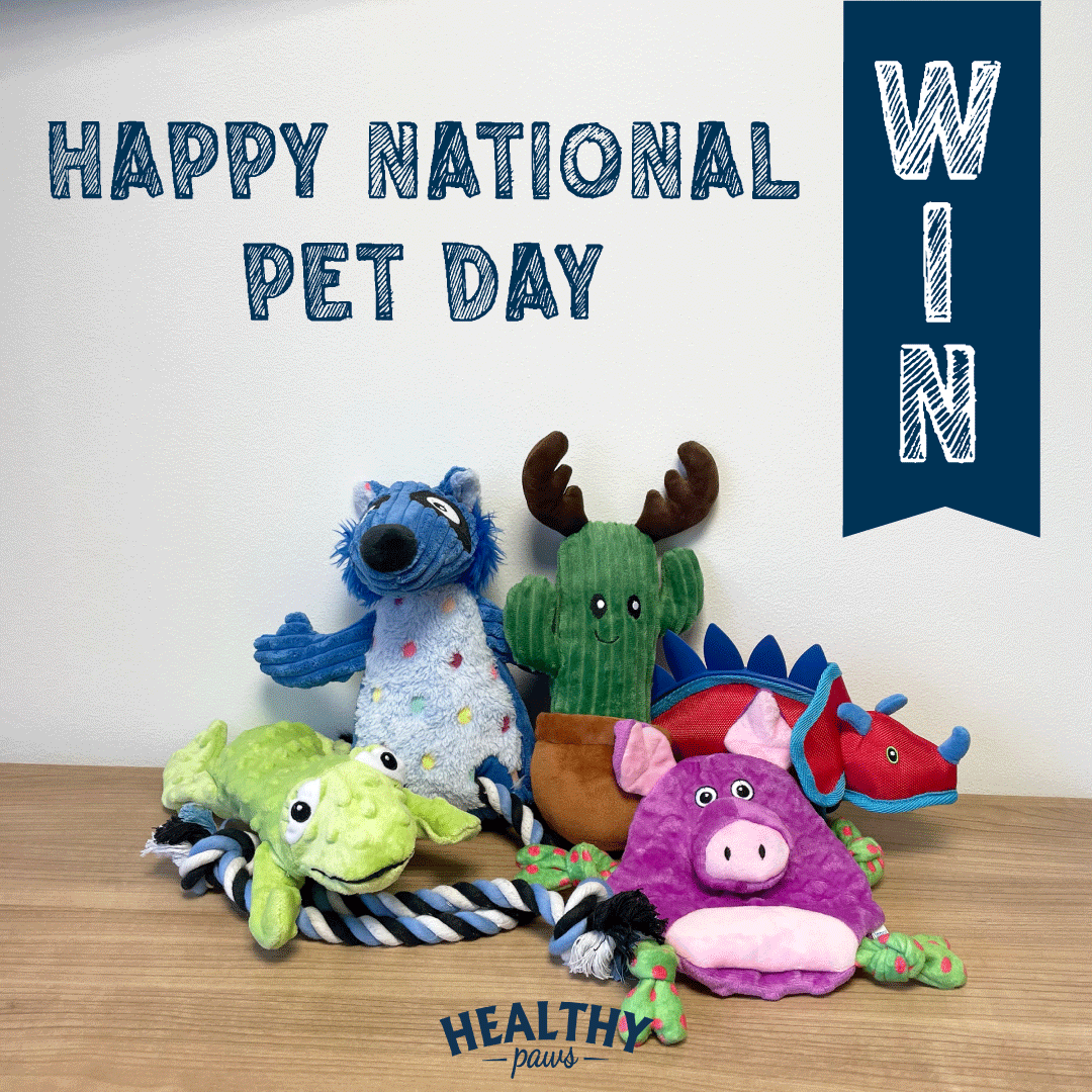 healthypawsltd's tweet photo. HAPPY NATIONAL PET DAY 🐶🐱🐰🐹
To enter, all you have to do is:
1. Like this post
2. Comment the name of your 1st pet below
3. Share this post

Please follow us too! ❤️
Good luck 🤞
The winner will be announced on Tuesday 19th April 2022
Entries must be 18+ and live in the UK. https://t.co/715Z0NmrKz