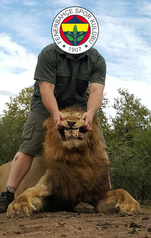 Fenerbahce's new pet