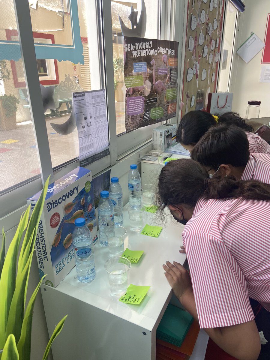 DESSyear5's tweet photo. Year 5 have started STEM week off by hatching their own prehistoric sea creatures (sea monkeys), we will be observing their life cycle over the next few weeks!! @DESSscience #DESSstem #DESSstemweek #DESSstemweek2022 https://t.co/98LSFrKjeL