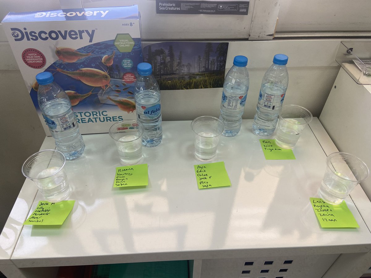 DESSyear5's tweet photo. Year 5 have started STEM week off by hatching their own prehistoric sea creatures (sea monkeys), we will be observing their life cycle over the next few weeks!! @DESSscience #DESSstem #DESSstemweek #DESSstemweek2022 https://t.co/98LSFrKjeL