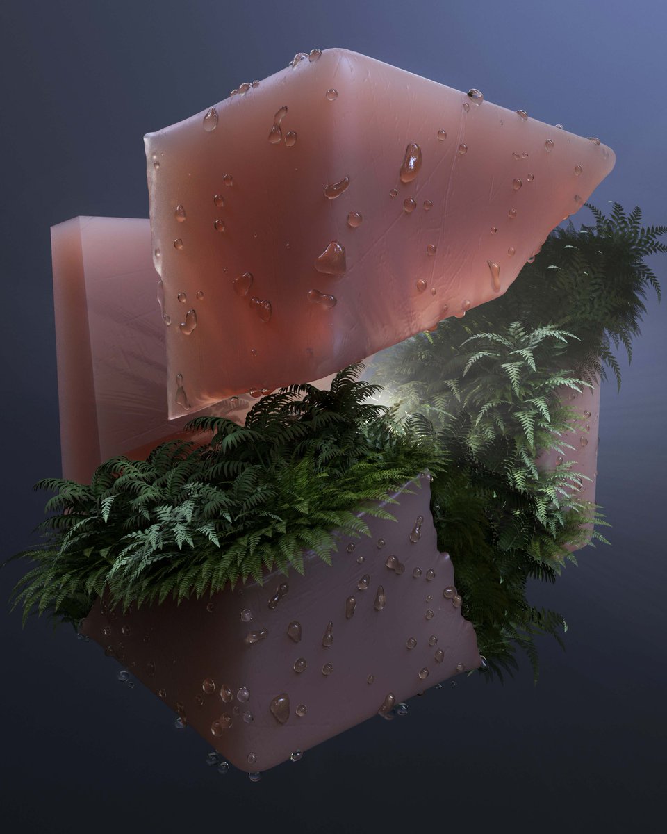 Happy Monday 🌱💚