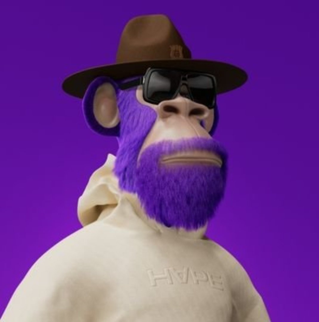 Nina 🦧 tweet media