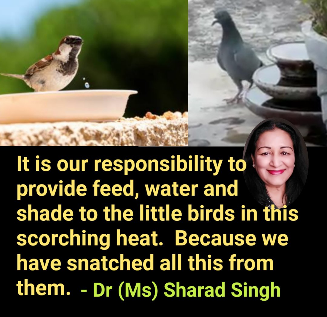 MissSharadSingh's tweet photo. इस चिलचिलाती गर्मी में नन्हें पक्षियों को दाना, पानी और छांह देना हमारी जिम्मेदारी है। क्योंकि हमने ही उनसे यह सब छीना है।- डॉ (सुश्री) शरद सिंह
#MyClimateDiary
#ClimateCahnge
#SaveClimate
#AwarenessForClimate
#OurClimateOurLife
#OurClimate #Hotsummer
#birds #ScorchingHeat https://t.co/nRmRaCN8vR