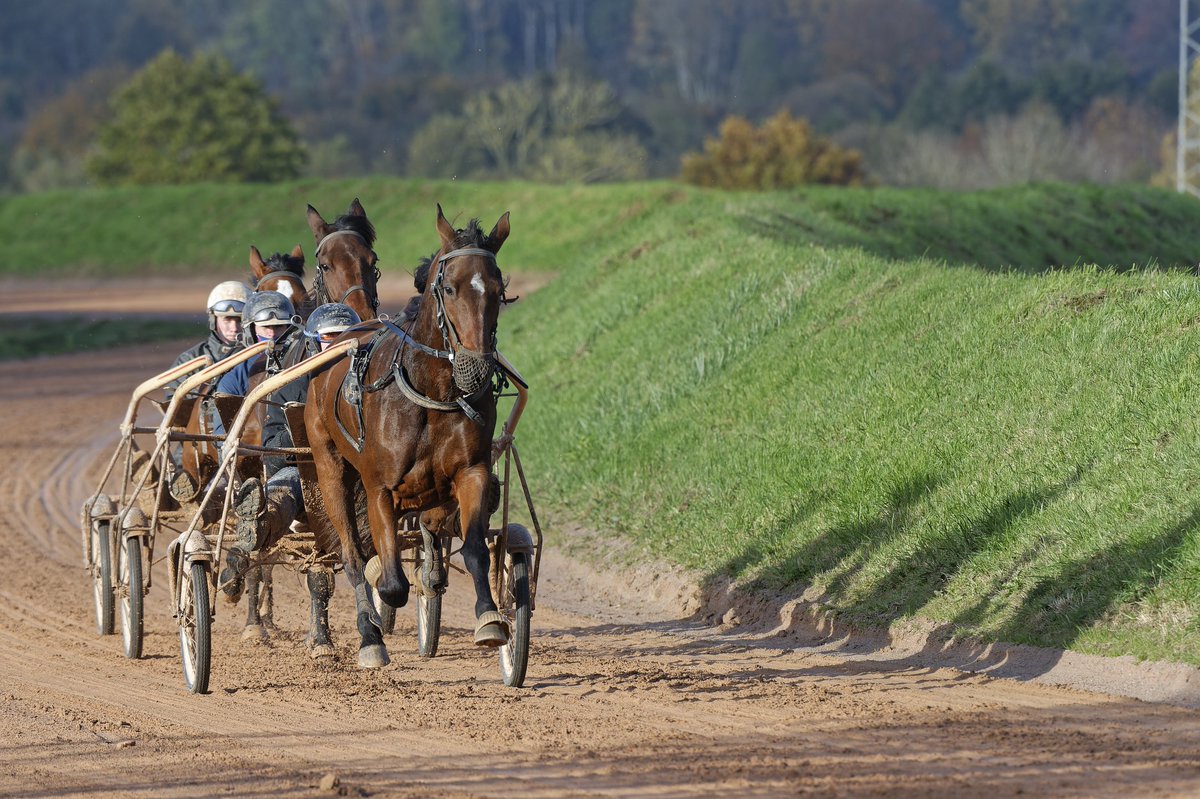 Trotteurs tweet media