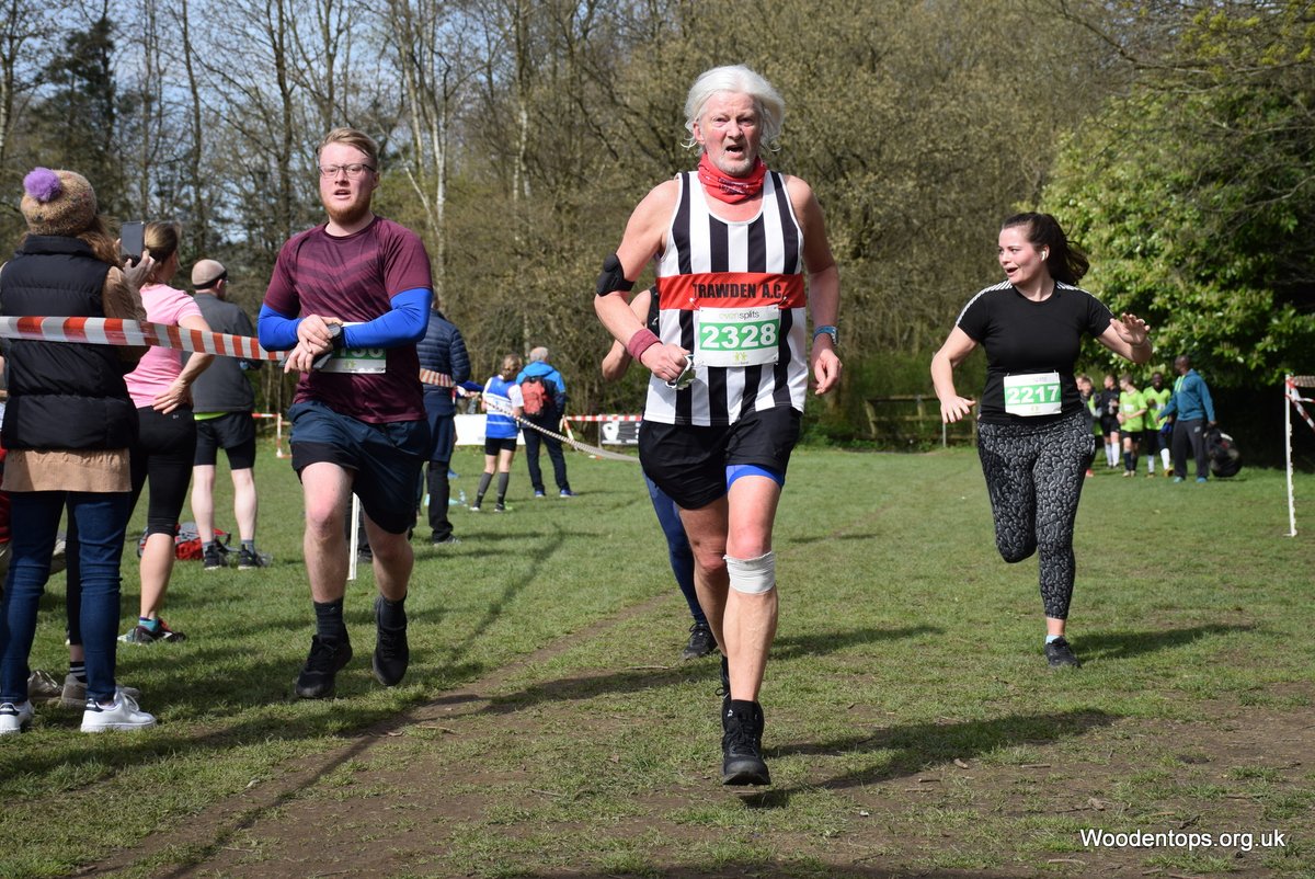 Woodentops tweet media