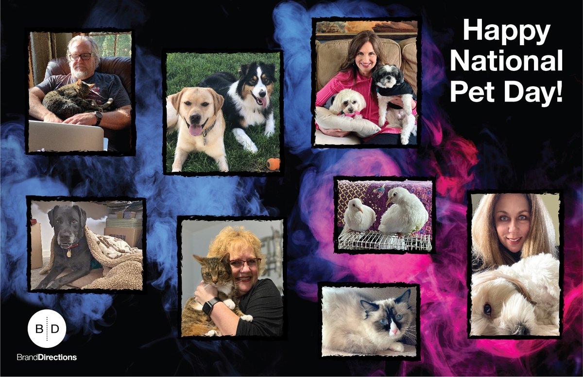 DirectionsMKTG's tweet photo. We love our pets at BrandDirections! Celebrating them today – and every day! #NationalPetDay2022 https://t.co/ipixlOWYph