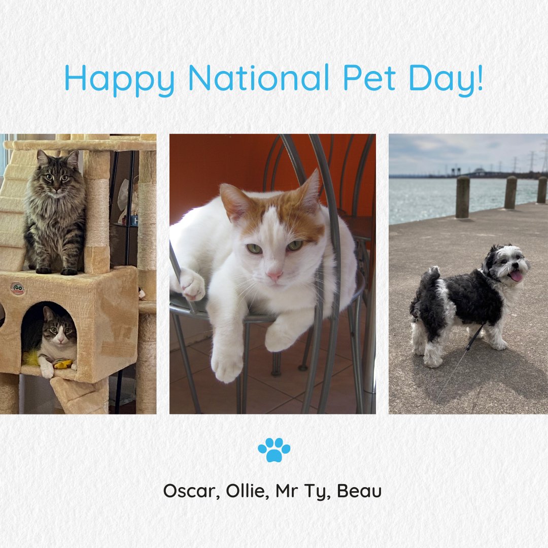 National Pet Day is the perfect excuse (not that you need one) to celebrate all of the amazing animals in your life. So shower your pets with attention, love and care—our fur family will surely be having a few extra treats today! Happy #NationalPetDay!