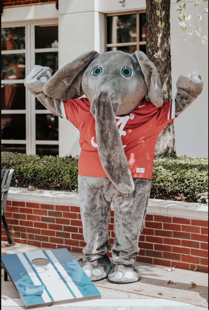 This mascot right here has been there to win 29 SEC champs! So, Big Al is here to tell us to DONATE DONATE DONATE to result in another win! Together we can supply for students on our very own campus that are struggling with food insecurity. 10 days left LET'S GET IT GOING!!!