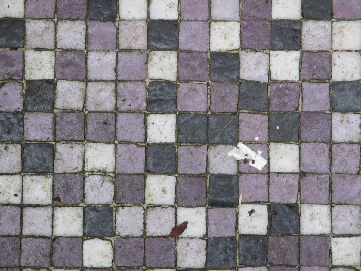 CJoplingIllo's tweet photo. More Marvellous Mosaics of #Halifax !

#tilestuesday #tilesontuesday https://t.co/YuDSWztiN5
