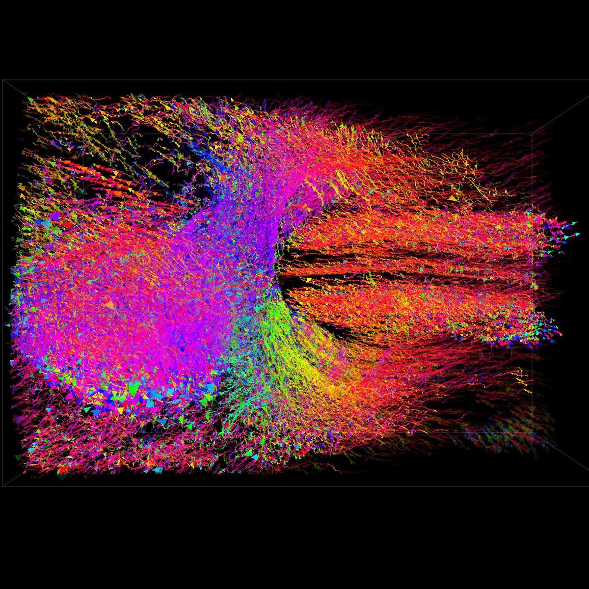 johnbcarpenter's tweet photo. I’m incredibly honored to be a featured author + on the cover of the current issue of Leonardo, Vol. 55,2 April 2022 for my #dataviz work with @midbrain4 (@USC @ChildrensLA) Thanks so much to my Nick Cronbach and the team @mitpress #artandscience https://t.co/j584N1ZvG4
