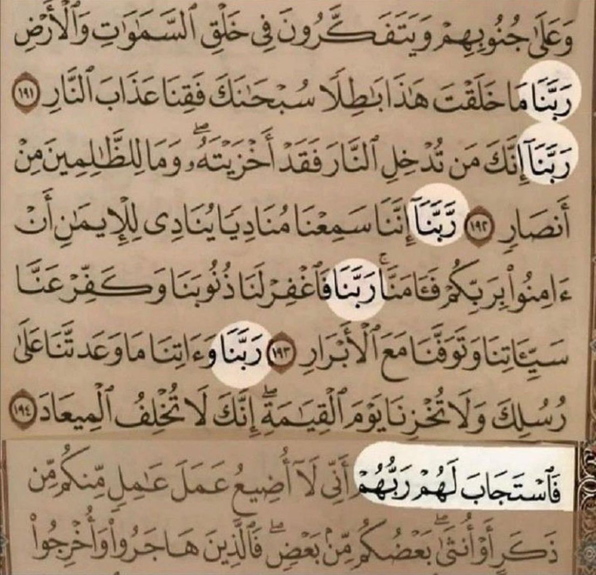 Hossam19199's tweet photo. @elshirbiniahmed https://t.co/S6LrzFVUsk