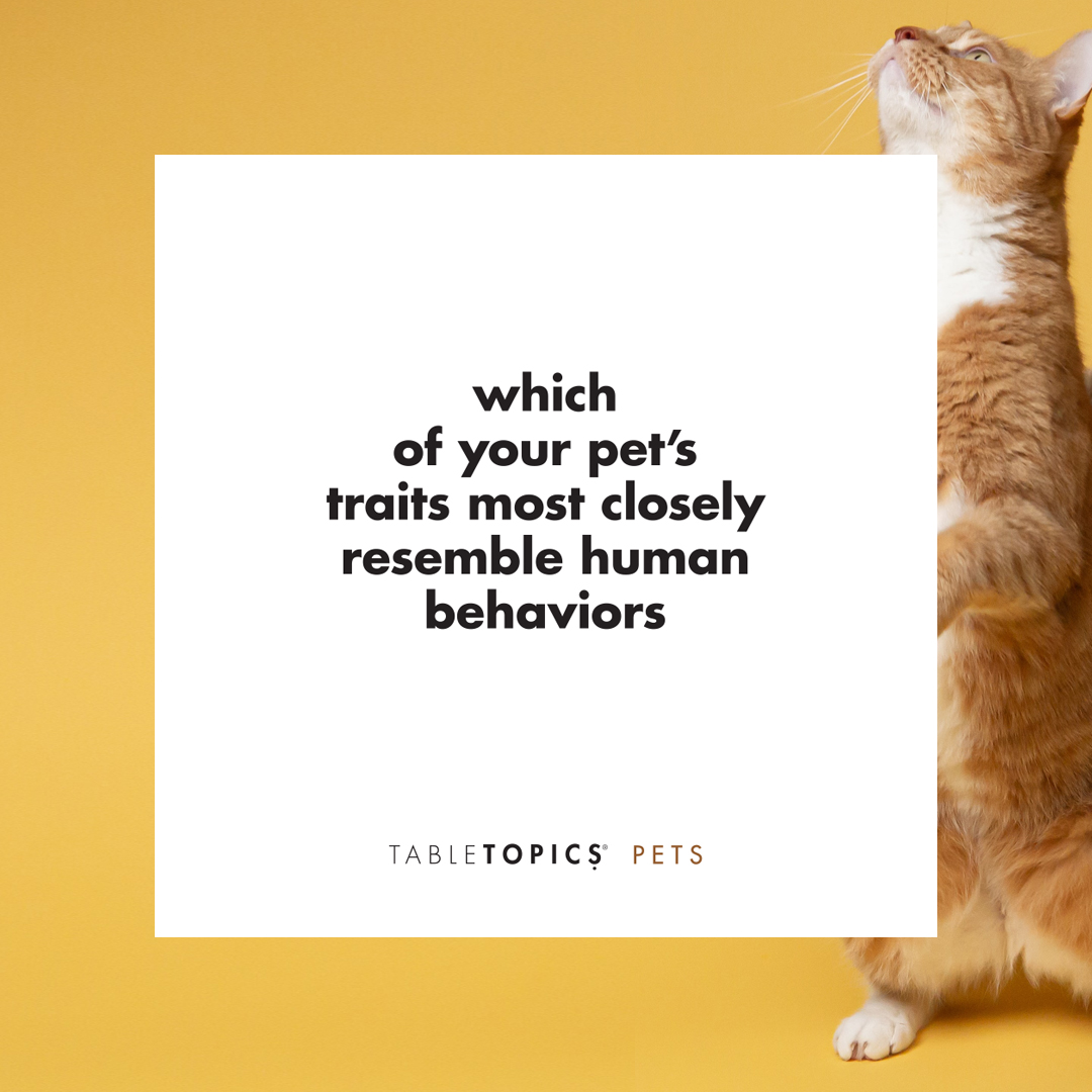 Here's a question for National Pet Day from our new PETS edition. We'd love to hear your answers! #NationalPetDay