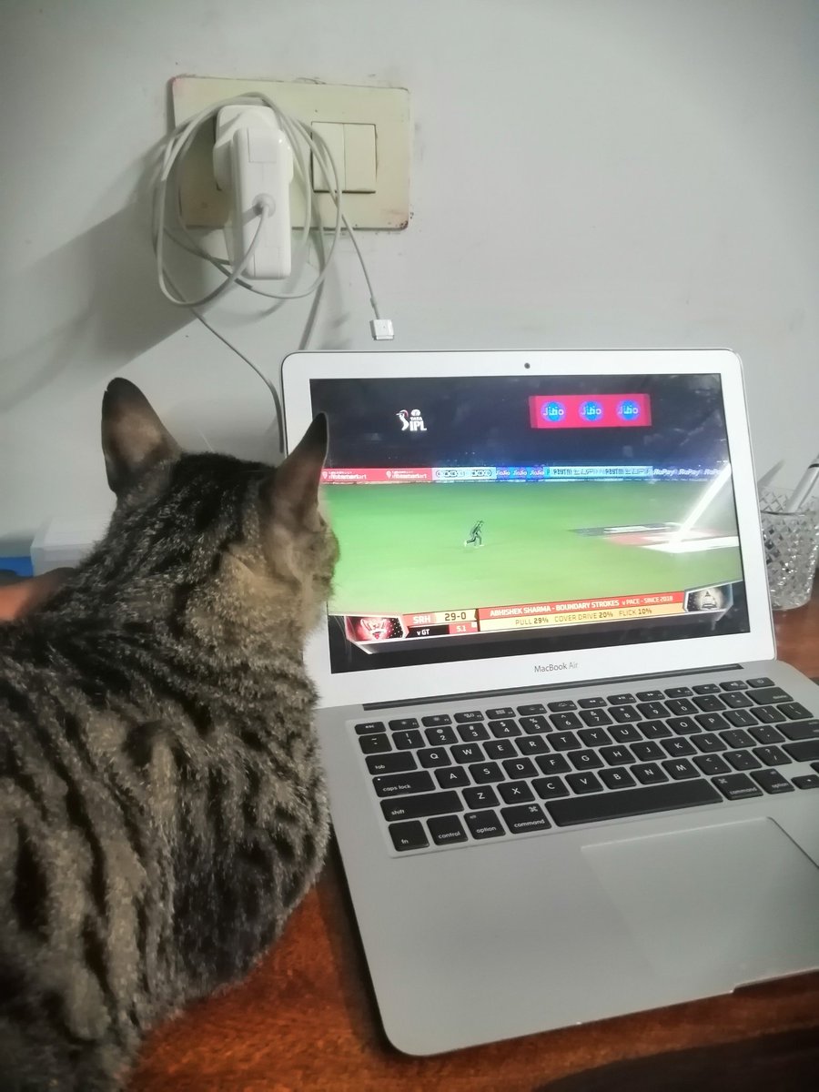 omarrsays's tweet photo. Mirza watching IPL 🏏 https://t.co/eK3ODOQCtr